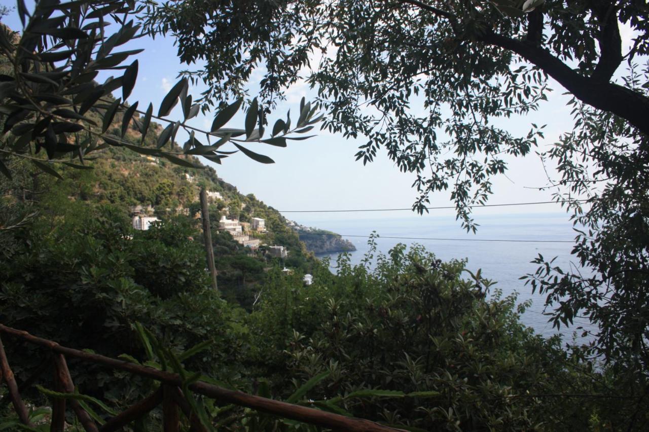 Maison Don Rafe' Positano Eksteriør bilde