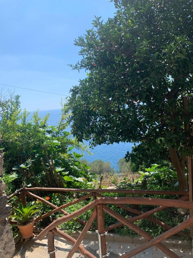 Maison Don Rafe' Positano Eksteriør bilde